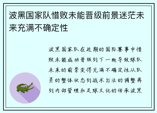 波黑国家队惜败未能晋级前景迷茫未来充满不确定性