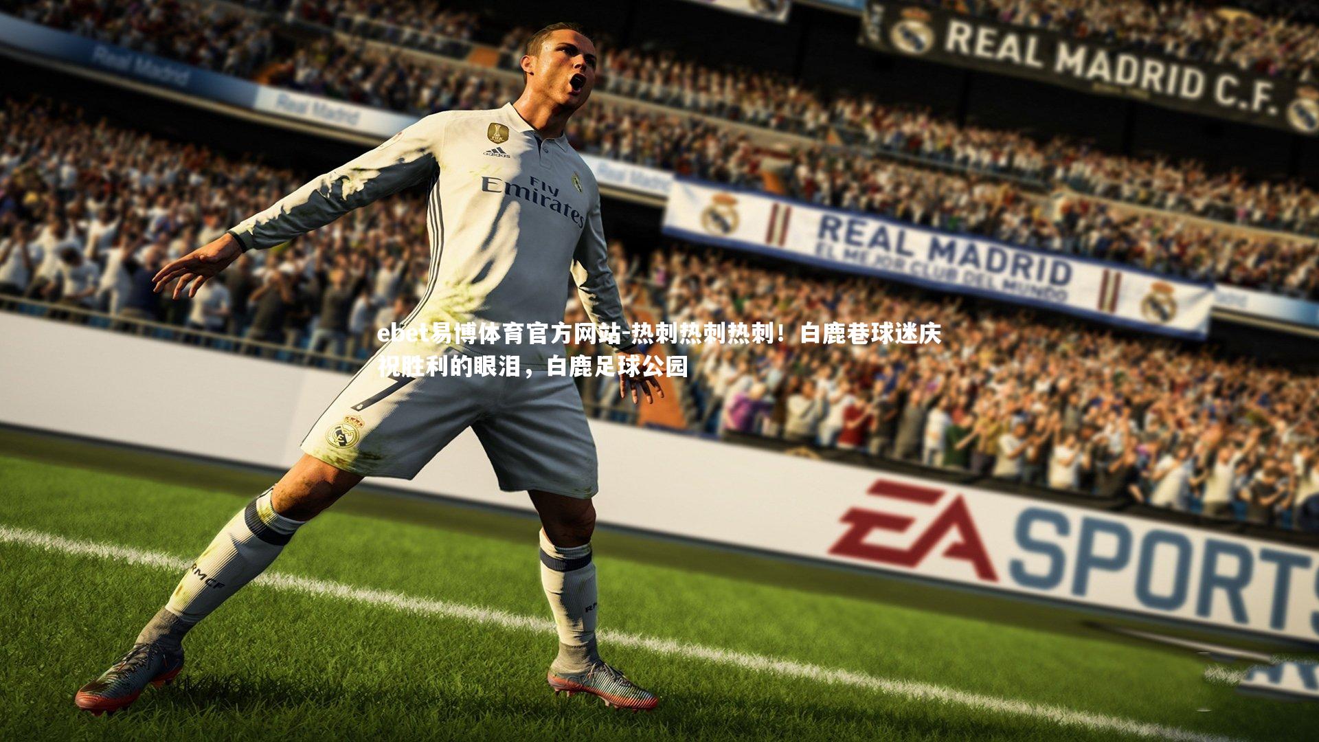 热刺热刺热刺!白鹿巷球迷庆祝胜利的眼泪,白鹿足球公园