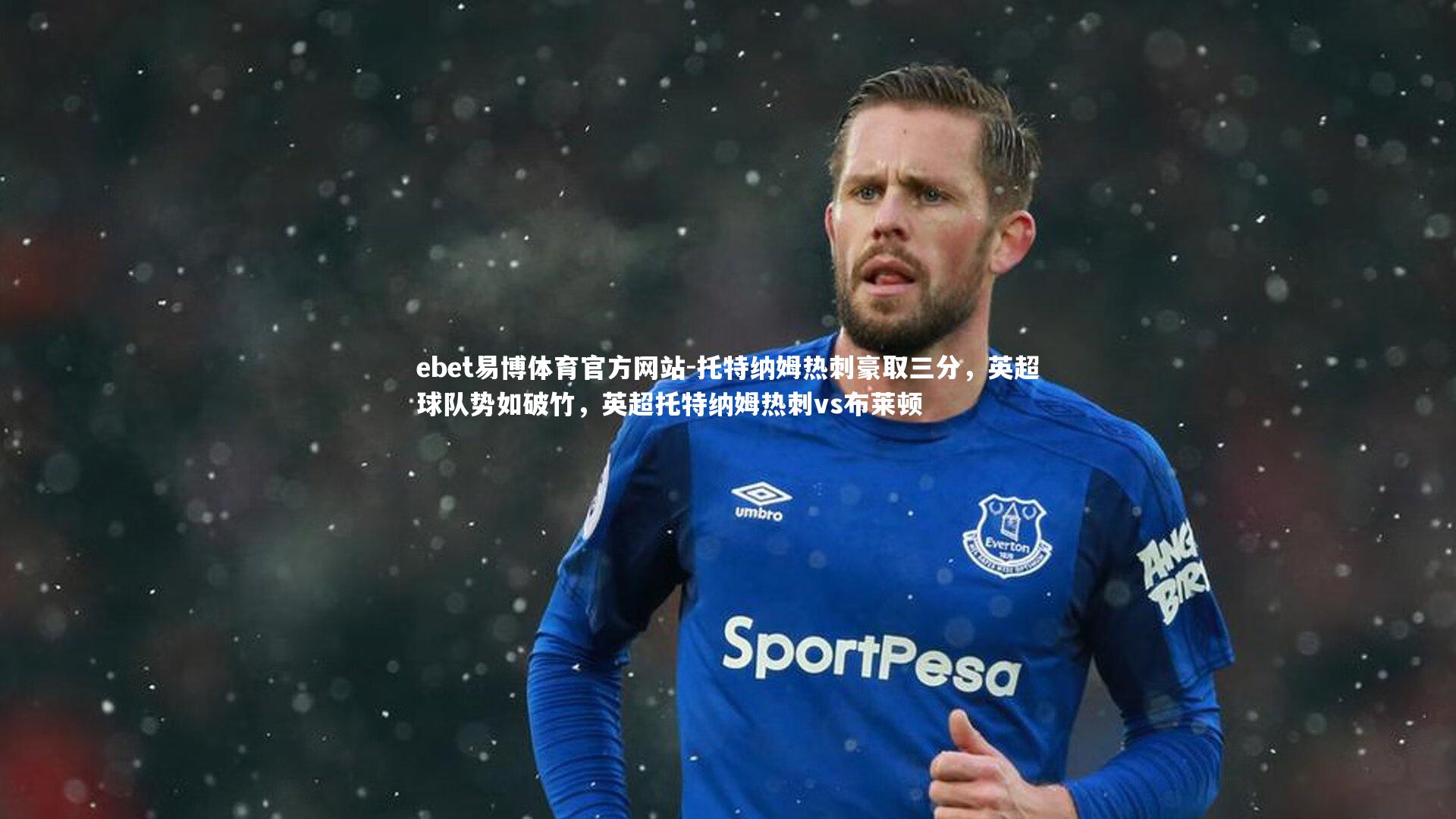托特纳姆热刺豪取三分,英超球队势如破竹,英超托特纳姆热刺vs布莱顿