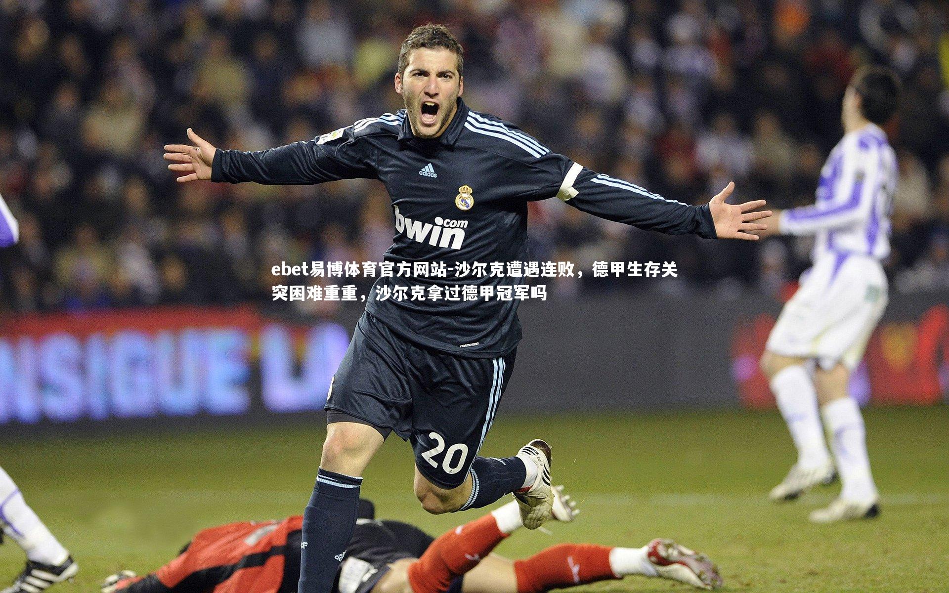 沙尔克遭遇连败,德甲生存关突困难重重,沙尔克拿过德甲冠军吗